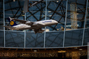 Имя файла=1311_Singapore_181.jpg
Размер файла=492КБ
Размеры=1400x934
Дата=Янв 29, 2014 1311_Singapore_181.jpg